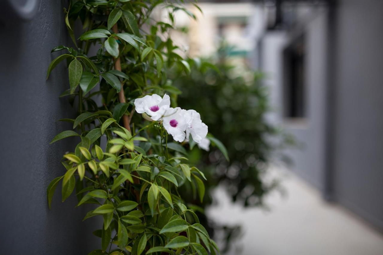 Spacious Flat With Courtyard And Private Parking! Atene Esterno foto